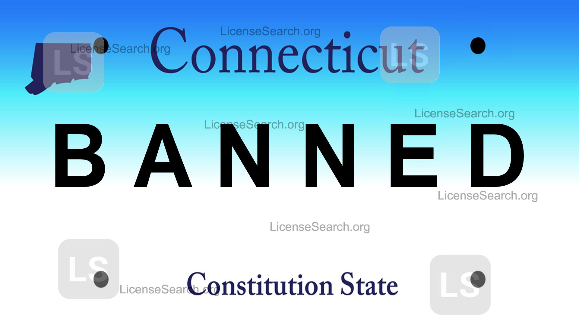 Connecticut Banned License Plates License Lookup