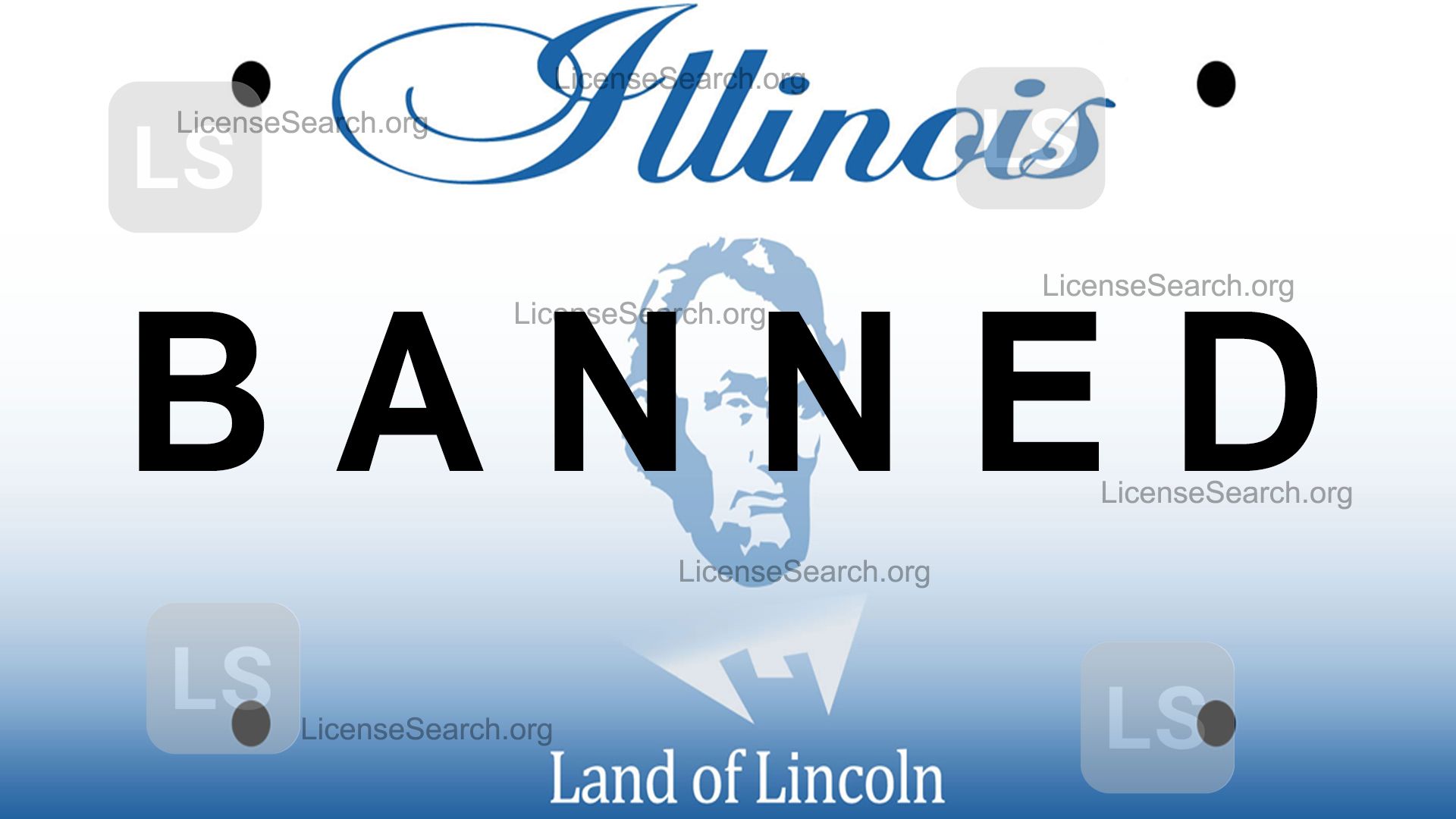 Illinois License Plate Custom Keychain – Placamania