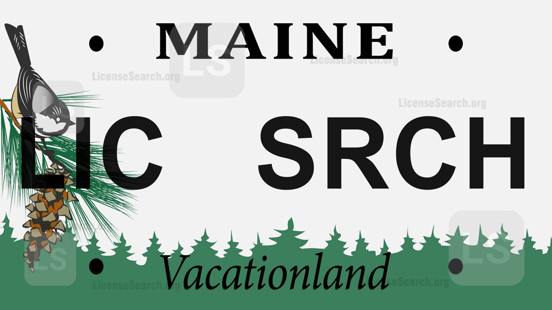 Maine License Plate Lookup License Lookup