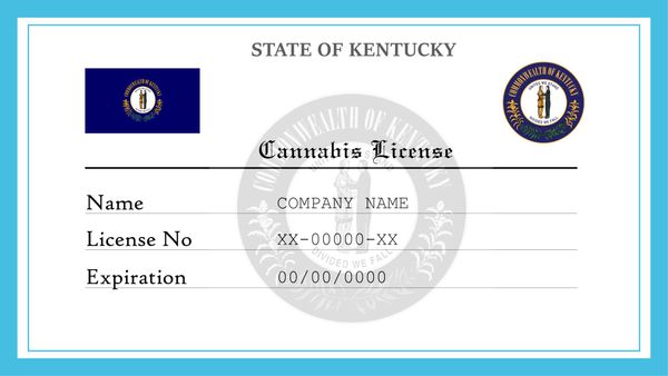 Kentucky Cannabis and Marijuana License