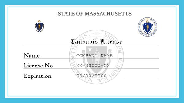 Massachusetts Cannabis and Marijuana License