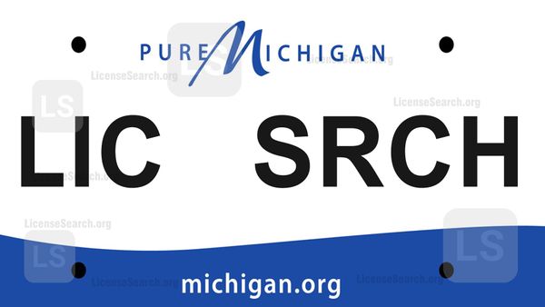 Michigan License Plate Lookup