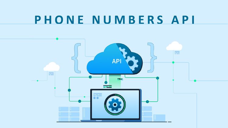 Phone Number Lookup API