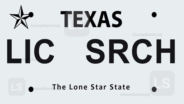 Texas License Plate Lookup