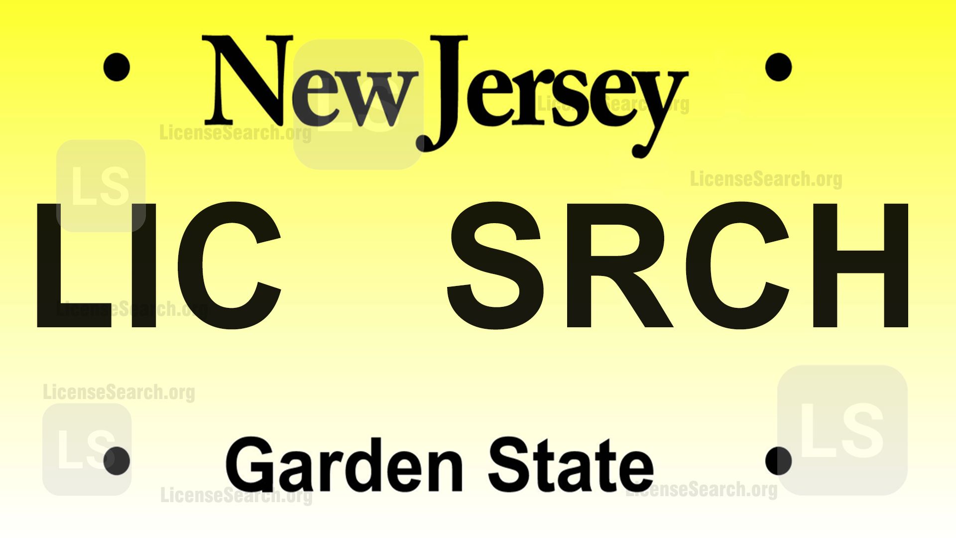 New Jersey License Plate Lookup