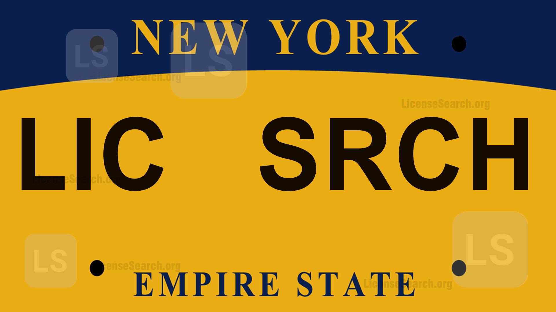 New York License Plate Lookup License Lookup