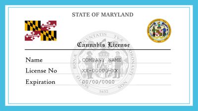 Maryland Cannabis and Marijuana License