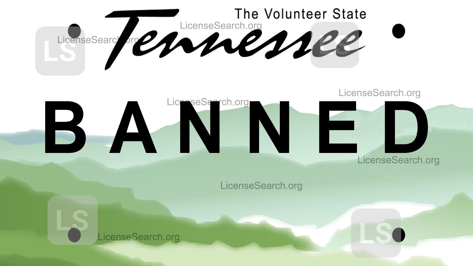 Tennessee Banned License Plates License Lookup
