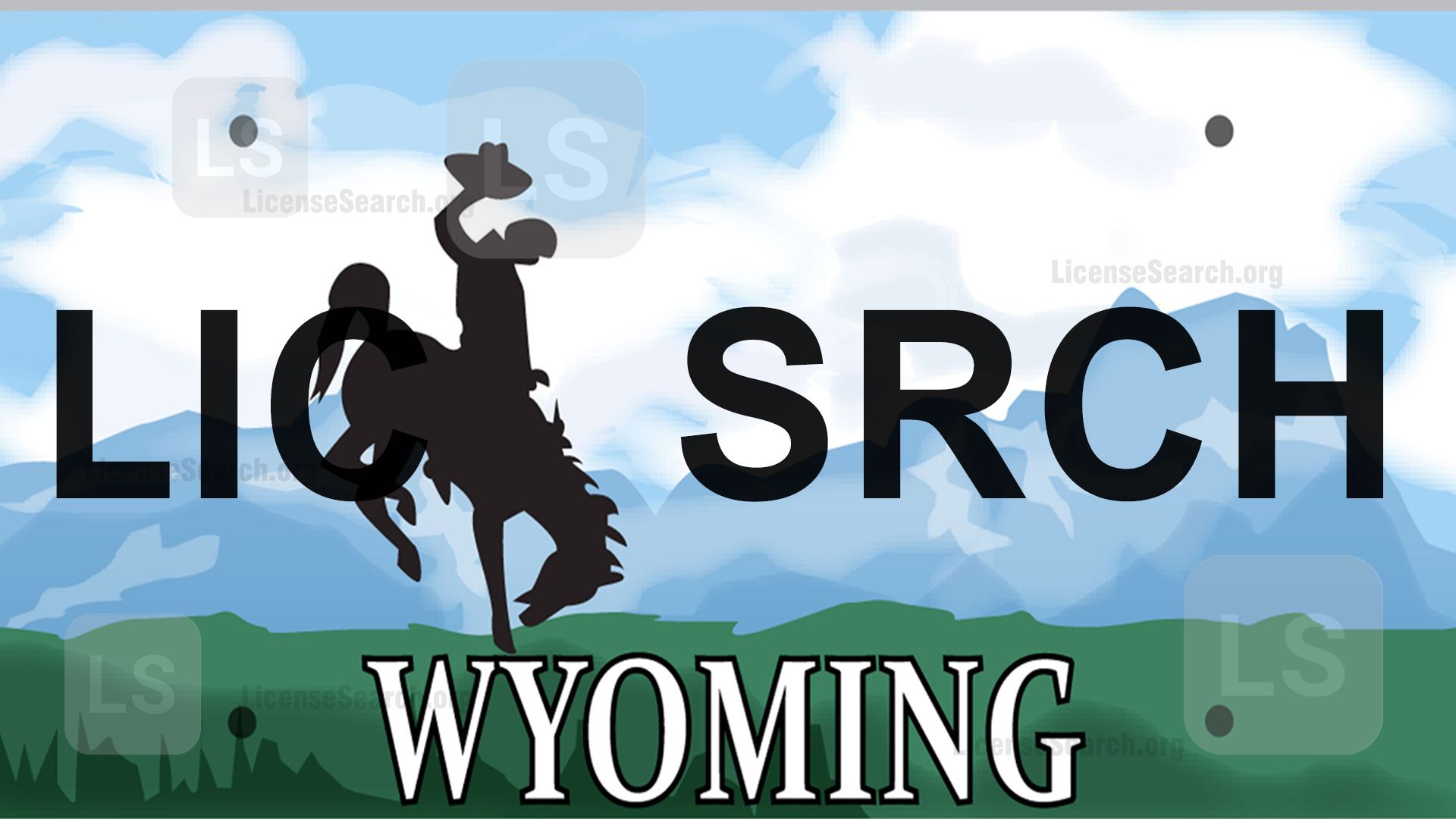 Wyoming License Plate Lookup  License Lookup