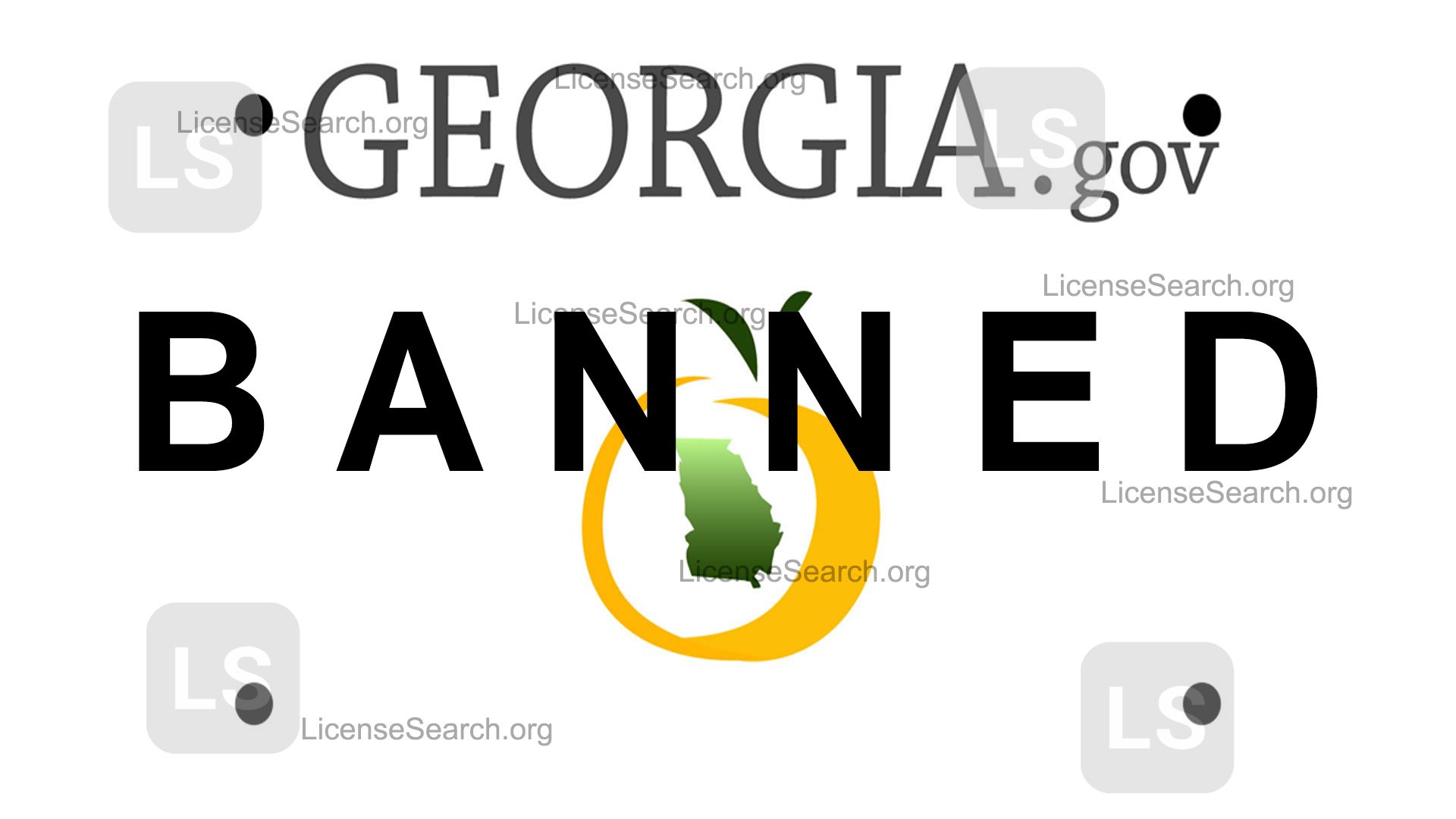 georgia-banned-license-plates-license-lookup