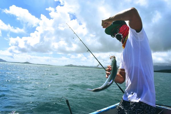 How much is a saltwater fishing license in Alabama?